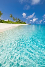 Crown-Vacations-5