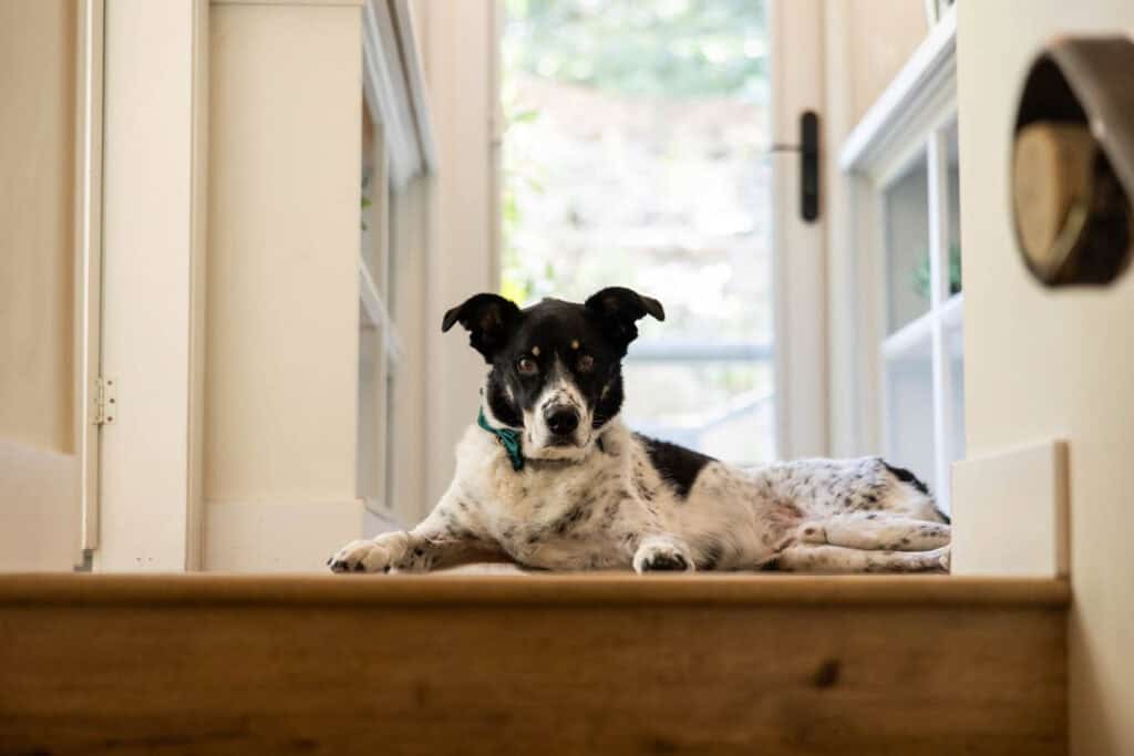 The-Oaks-at-Duncan-Lane-43