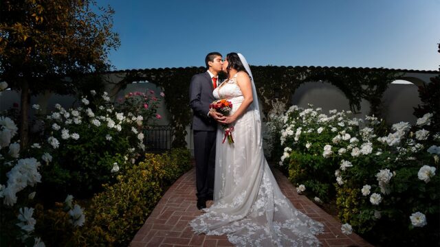 Martin-V-Photography