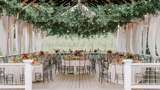 Sassafras-Springs-Vineyard-Winery